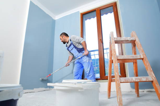 Best Black Mold Removal  in Gladstone, MI