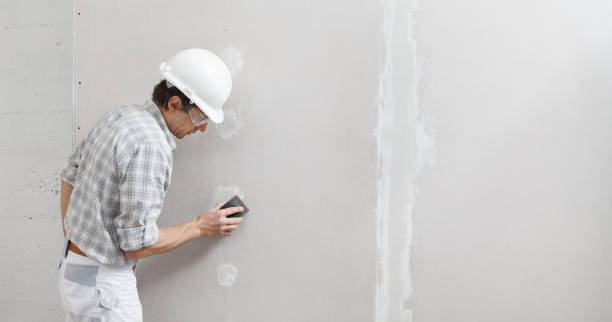 Best Biohazard Mold Removal  in Gladstone, MI